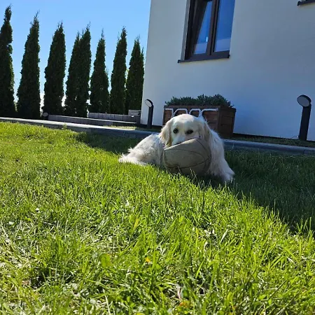 U Sieronia * Mielenko