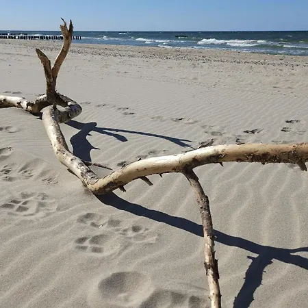 Dom wakacyjny U Sieronia Mielenko