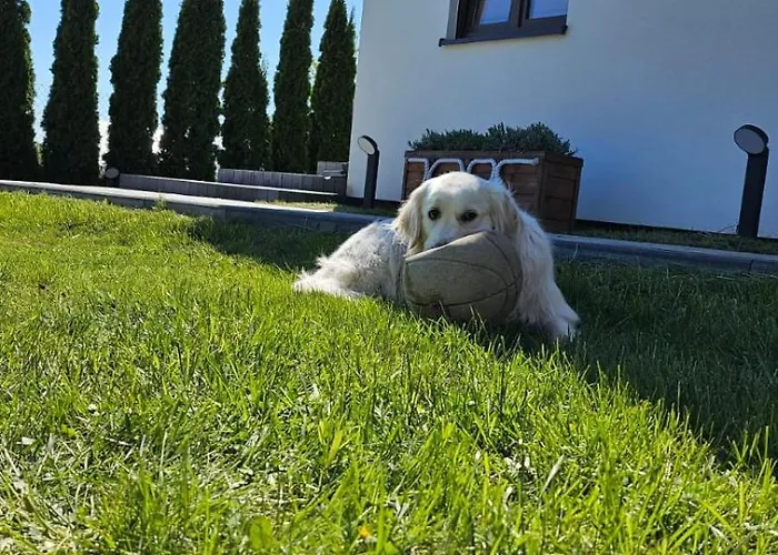 U Sieronia * ملنك