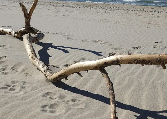 بيت للعطل U Sieronia ملنك